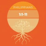 The Joshua Tree | Petersham Presbyterian Church