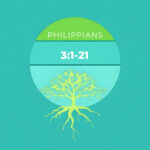 The Joshua Tree | Petersham Presbyterian Church