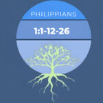 The Joshua Tree | Petersham Presbyterian Church