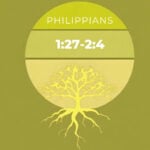 The Joshua Tree | Petersham Presbyterian Church