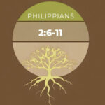 The Joshua Tree | Petersham Presbyterian Church