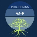 The Joshua Tree | Petersham Presbyterian Church