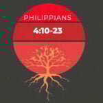 The Joshua Tree | Petersham Presbyterian Church