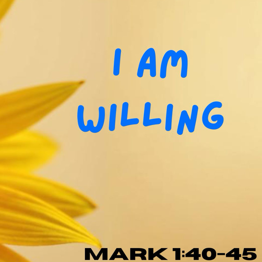 I Am Willing episode artwork