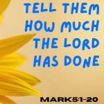 The Joshua Tree | Petersham Presbyterian Church